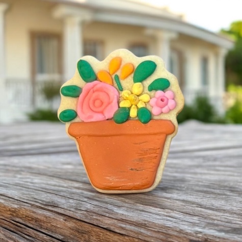 Flower Pot Background